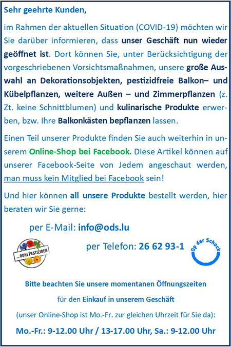 COVID 19 News 2020